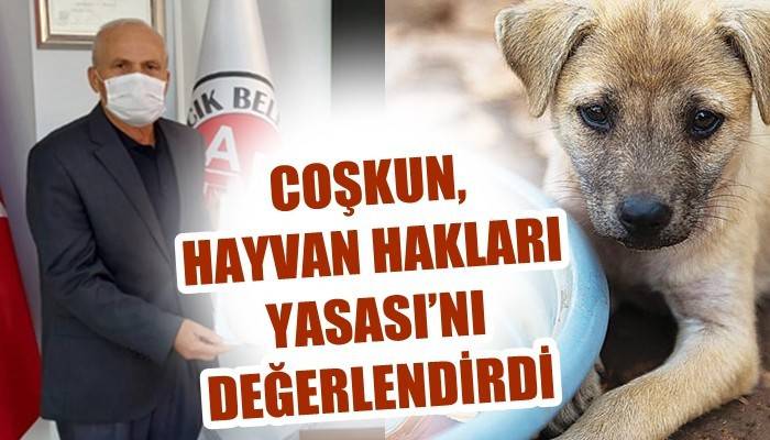 COŞKUN HAYVAN HAKLARI YASASI’NI DEĞERLENDİRDİ: Hayvanlara kasten kötü muamelede bulunan, kişiler hapis cezası le cezalandırılmalıdır