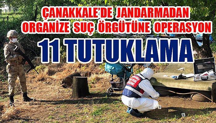 Organize suç örgütü operasyonunda 11 tutuklama