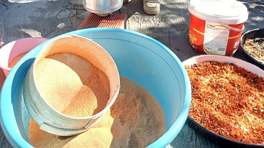 Biga’nın yüzyıllık sırrı “nohort biberi” gün yüzüne çıktı