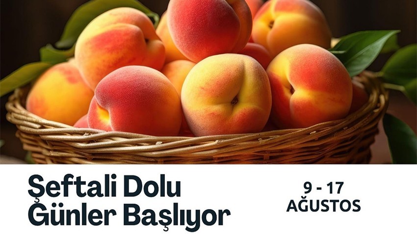 Lapseki’de Geleneksel Şeftali Festivali 9 Ağustos’ta Başlıyor
