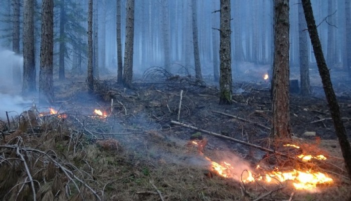 Kazdağlarında 80 hektar yandı! (VİDEO)