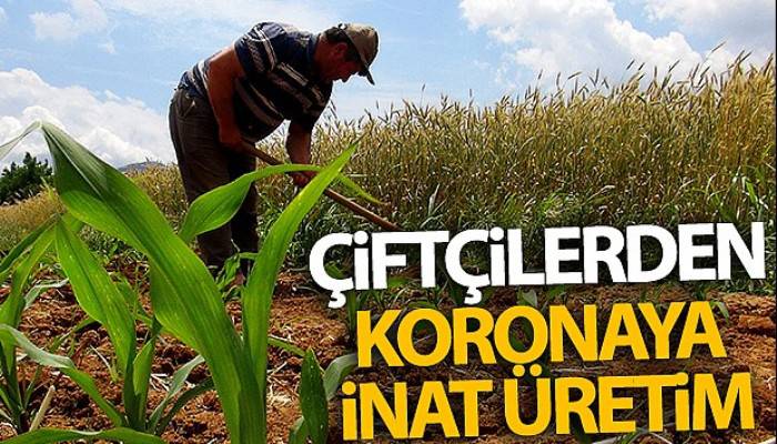 Çiftçilerden koronaya inat üretim