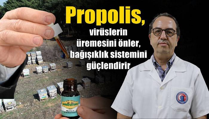 Prof. Dr. Şener: Propolis, virüslerin üremesini önler, bağışıklık sistemini güçlendirir
