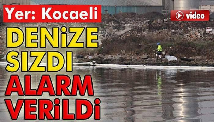 Kocaeli'nde yarım ton yakıt denize sızdı