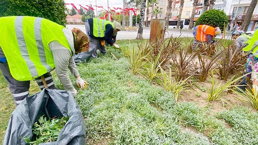 Yeşil Alanlarda Bitkilendirme ve Bakım Çalışmaları Devam Ediyor