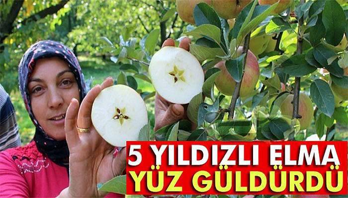 5 yıldızlı elma yüz güldürdü