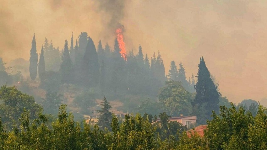 'Çanakkale'deki orman yangınında 8 köy etkilendi'