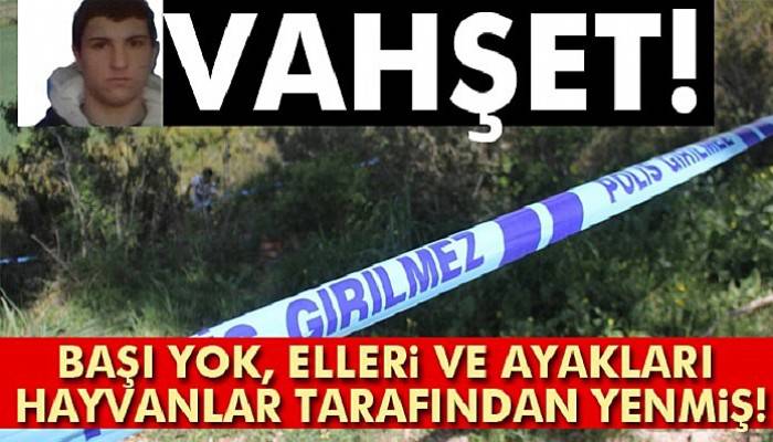  Mezarlıkta korkunç manzara