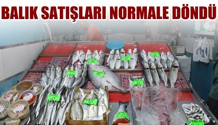 Müsilajın ardından balık satışları normale döndü