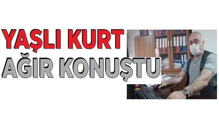 YAŞLI KURT AĞIR KONUŞTU