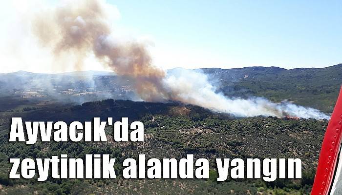 Çanakkale'de bir yangın daha