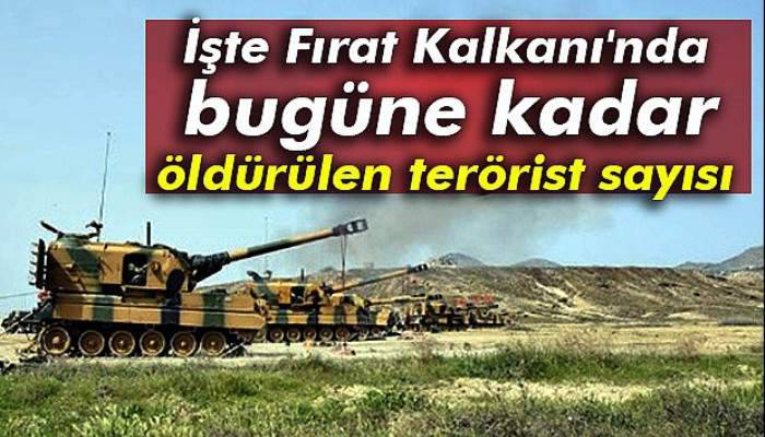 İşte Fırat Kalkanı'nda bugüne kadar öldürülen terörist sayısı