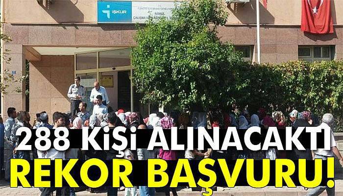 Siirt'te 288 kişilik işe 5 bin 46 başvuru yapıldı