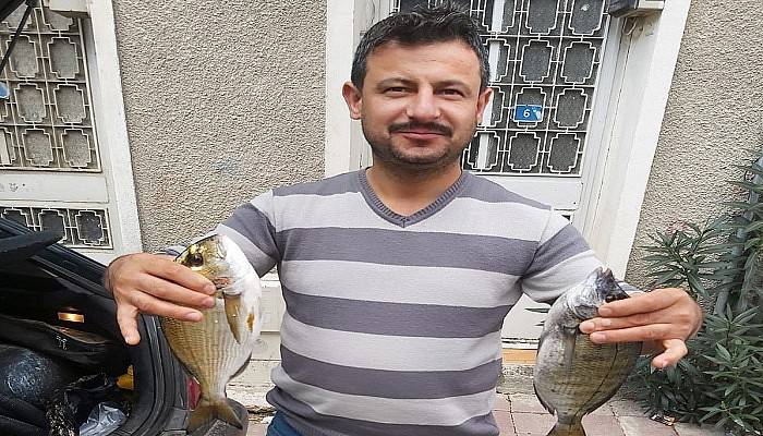 Çanakkale'deki amatör balıkçıların lüfer bereketi