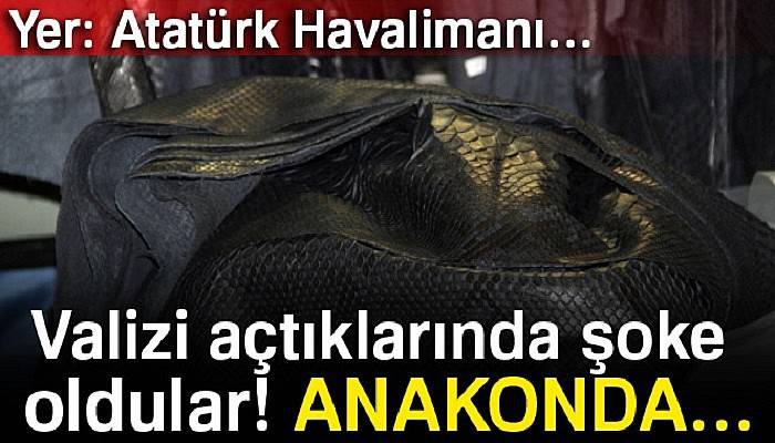 Atatürk Havalimanı’da yılan ve timsah derisi yakalandı