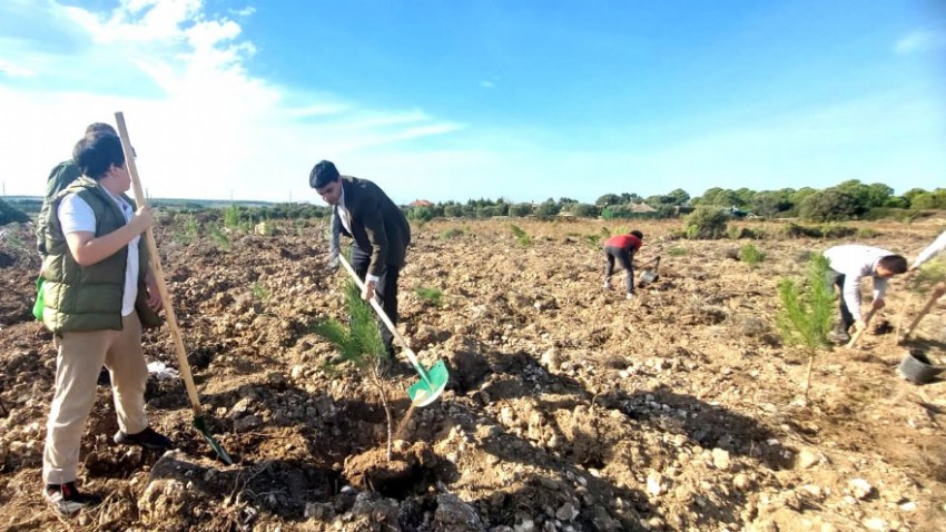 Bozcaada’nın Yeşil Geleceği İçin Kampanya Başlatıldı