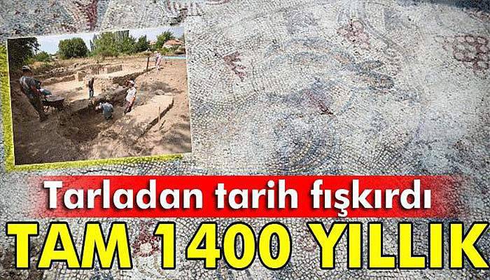 Yonca tarlasında bin 400 yıllık mozaik