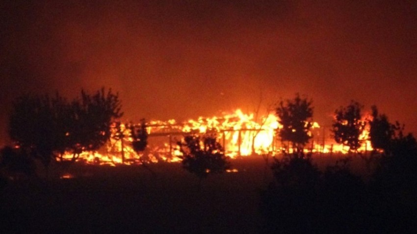 Orman yangınlarıyla ilgili 7 şüpheli tespit edildi
