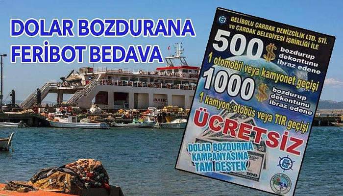 Dolar bozdurma kampanyasına destek