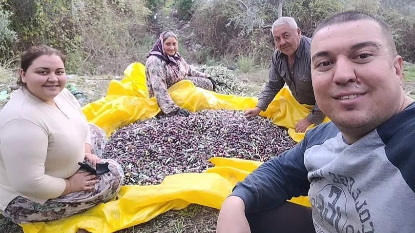 Zeytin hasadı devam ediyor