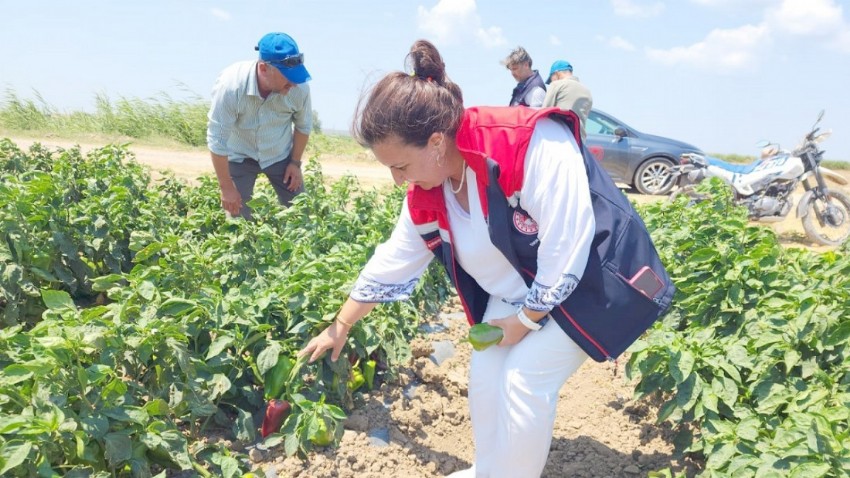 Çanakkale Tarım ve Orman Müdürü Türkarslan’dan Sahada Yoğun Mesai 