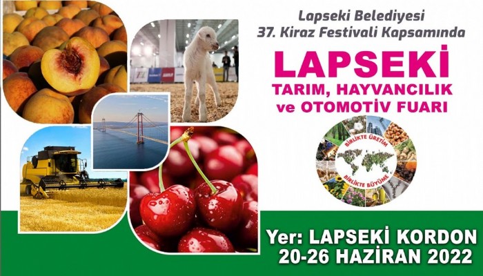 Lapseki Kiraz Festivaline Hazırlanıyor