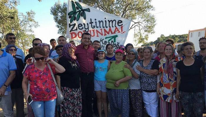 Milletvekili Bülent ÖZ, Zetinliklik alanlarda 