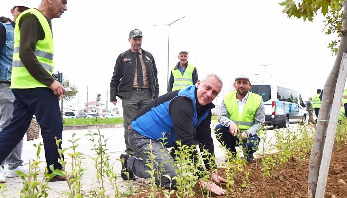 CAN HASTANESİ AĞAÇ DİKİM ETKİLİĞİNDE