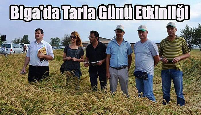 Biga'da Tarla Günü Etkinliği