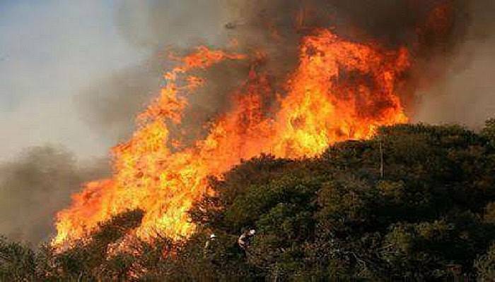 Orman Yangınları İçin Önemli Uyarı