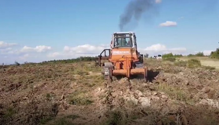 Yanan alanlar yeniden ağaçlandırılıyor (VİDEO)