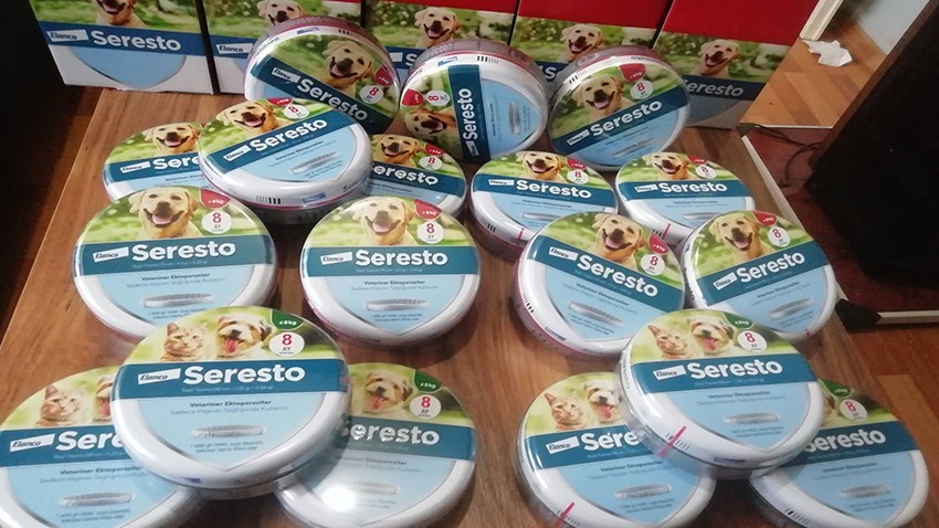 Eceabat Hayvan Severler Derneği’nden Kene ve Pireye Karşı Önlem