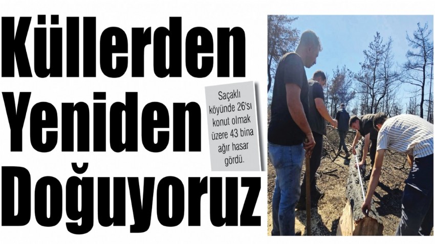 Küllerden Yeniden Doğuyoruz