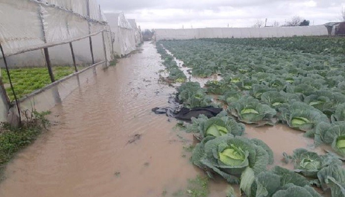 Ev ve İşyerlerini Su Bastı, Tarlalar Su Altında Kaldı