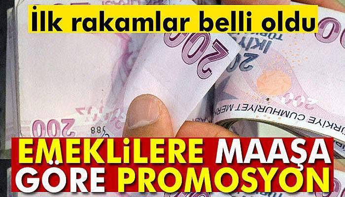 Emeklilere maaşa göre promosyon