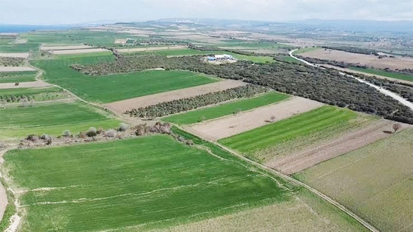 Çanakkale Savaşlarından kalma yeni bir şehitlik alanı tespit edildi