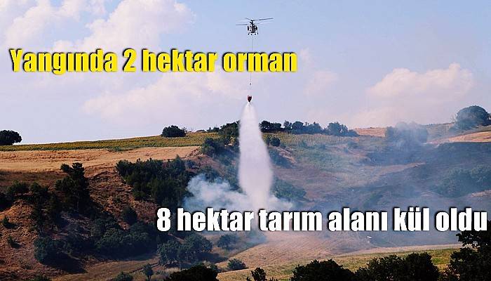 Çanakkale'de orman yangını