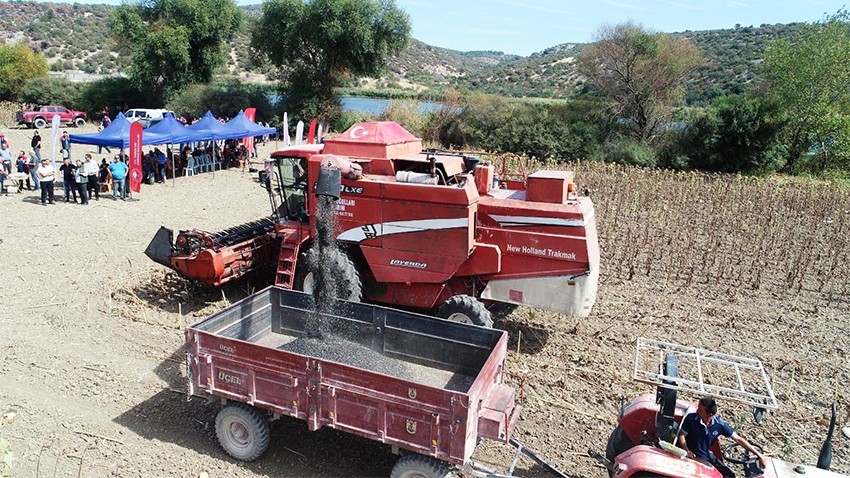 Yerli ve Milli Ayçiçeği Hasadı Coşkusu
