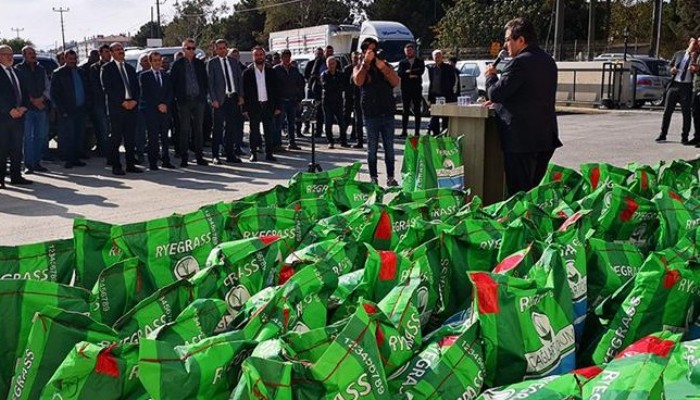 KALİTELİ KABA YEM ÜRETİMİNİ ARTTIRMAK İÇİN İTALYAN ÇİMİ TOHUMU DAĞITILDI