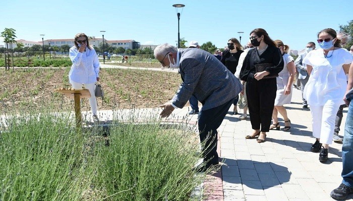 “Aromatik Bitki Yetiştiriciliğine Devam Etmek İstiyoruz”