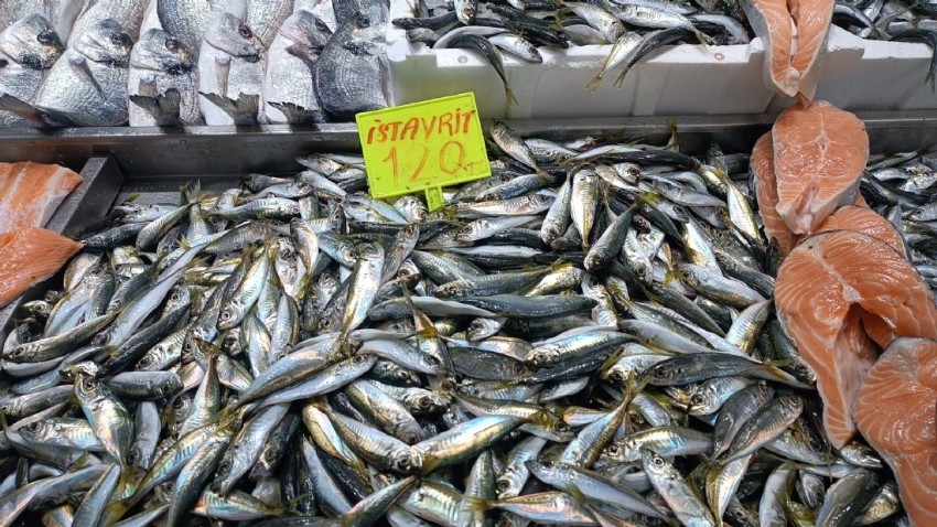 Balıklar azaldı fiyatlar arttı