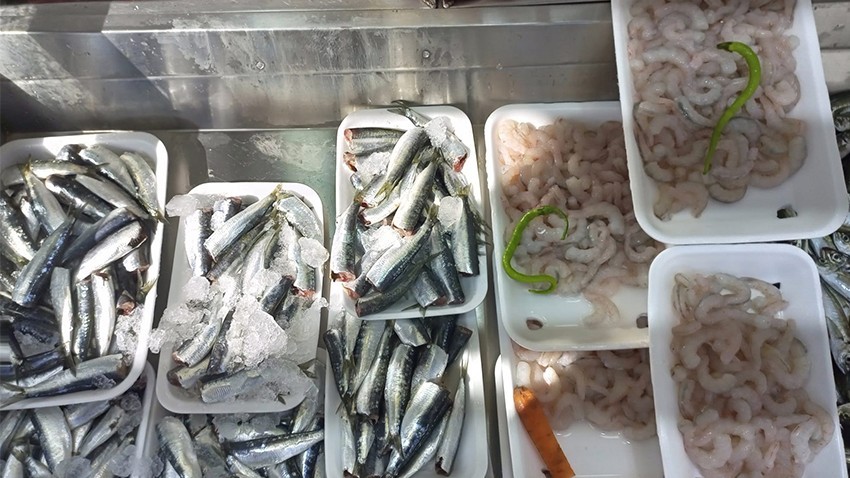 Mevsim Balıkları Tezgahlarda