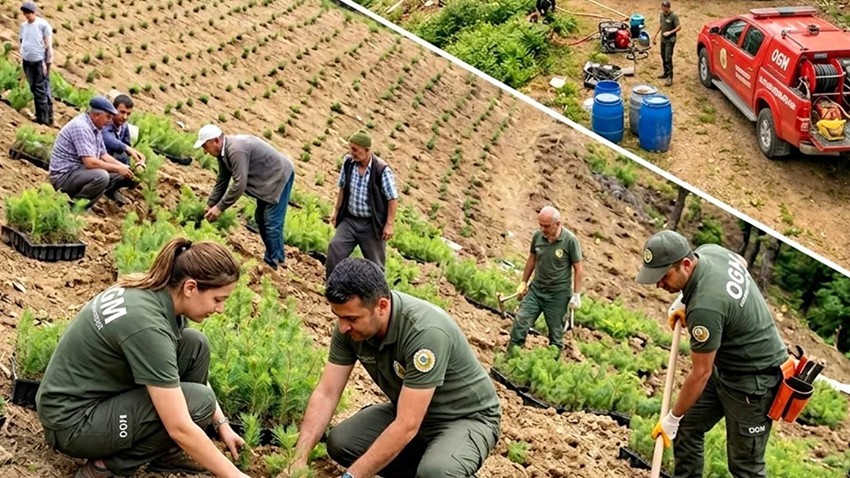 “Ormanları korumak sadece yangınla savaşmaktan ibaret değil”