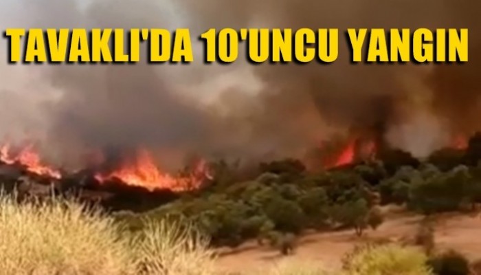 Tavaklı 10'ncu kez yanıyor! (VİDEO)