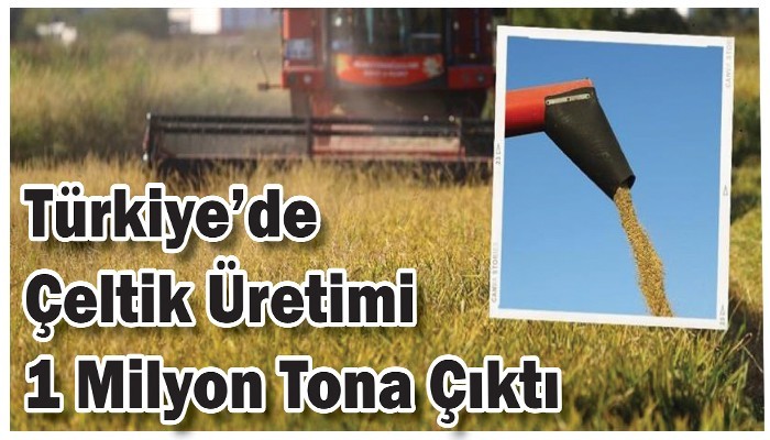 Türkiye’de Çeltik Üretimi 1 Milyon Tona Çıktı