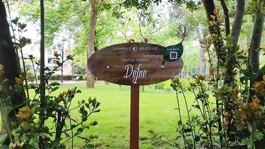 Ağaçlar künyeleniyor