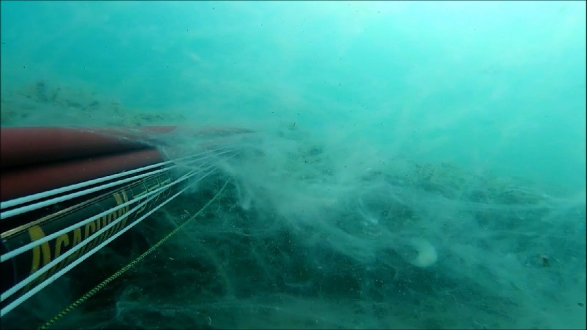 Marmara Denizi’nde Müsilaj Alarmı, Balıkçılar Sezonu Erken Kapatabilir