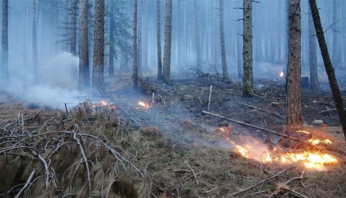 Kış ortasında Kazdağları'nda yangın 80 Hektar Alan YANDI (video)