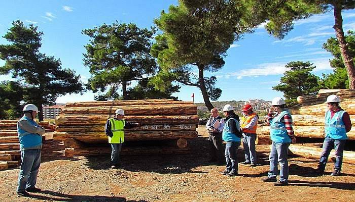 Orman Müdürlüğünde üretim tatbikatı yapıldı