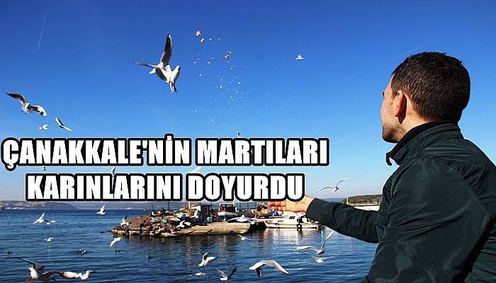 Çanakkale'nin Martıları Karınlarını Doyurdu